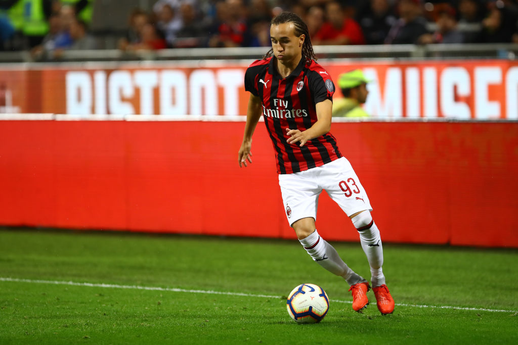 Image result for diego laxalt